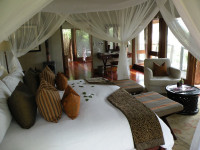 Pumba Water Lodge