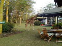 Elsamere Lodge