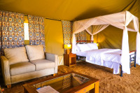 Into Wild Africa Luxury Safari Camp Serengeti