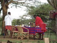 Maji Moto Maasai Cultural Camp