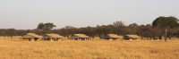 Ndutu Kati Kati Tented Camp
