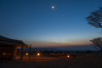 Ndutu Kati Kati Tented Camp