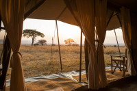Ndutu Kati Kati Tented Camp