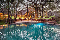 Tambuti Lodge
