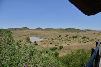 Tshukudu Bush Lodge