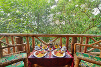 Bugoma Jungle Lodge