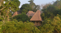 Bugoma Jungle Lodge