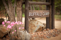 Kapama Buffalo Camp