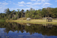 Savute Safari Lodge