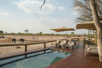 Savute Safari Lodge