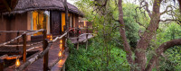 aha Makalali Main Lodge