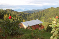 Bakiga Lodge