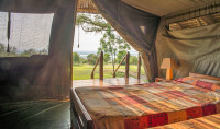 Bwana Tembo Safari Camp
