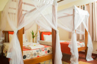 Gorilla Valley Lodge