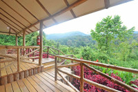 Gorilla Safari Lodge