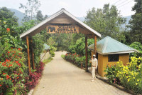 Gorilla Safari Lodge