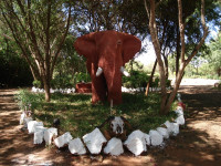 Red Elephant Safari Lodge
