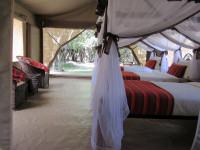 Enchoro Wildlife Camp
