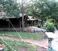 Mara Springs Safari Camp
