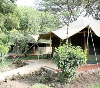 Mara Springs Safari Camp
