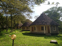 Mara Ndovu Lodge