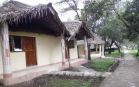 Mara Ndovu Lodge