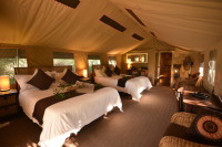 Tembe Elephant Lodge