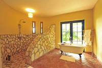 Elephant Plains Lodge