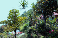 Nirvana Heights Resort & Spa