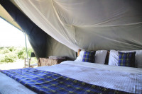 Fisi Camp