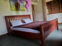 Tangi Safari Lodge