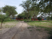 Tangi Safari Lodge
