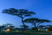 Ndutu Wilderness Camp