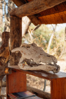 Ntemwa-Busanga Camp