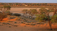 Suricate Tented Lodge