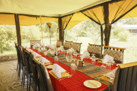 Porini Lion Camp