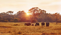 Kigambira Safari Lodge