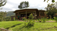 Ichumbi Gorilla Lodge