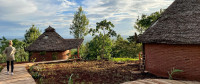 Foresight Eco Lodge