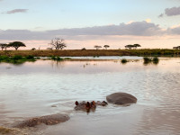 Foresight Eco Lodge