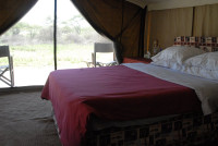Seronera Serengeti Savannah Camp