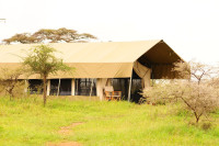 Seronera Serengeti Savannah Camp