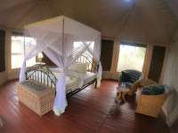 Serengeti Wildebeest Camps