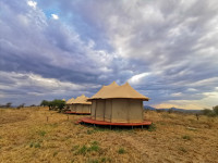 Serengeti Wildebeest Camps