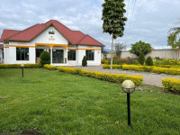 Virunga Homestay Budget guest house less than 1hr drive from Volcanoes NP (Gorillas, Rwanda) – Dinner Included +12 Photos +11 Photos