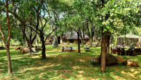 nDzuti Bush Camp