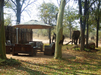 nDzuti Bush Camp