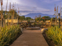 Tulia Amboseli Safari Camp