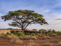 Tulia Amboseli Safari Camp