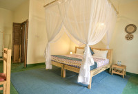 Cycad Guest House